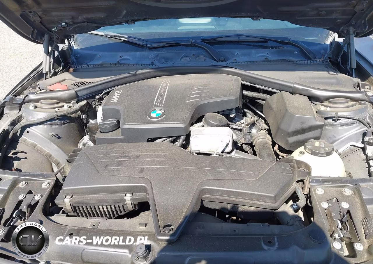 2015 BMW 320I VIN:WBA3B1C5XFK135842 - 10
