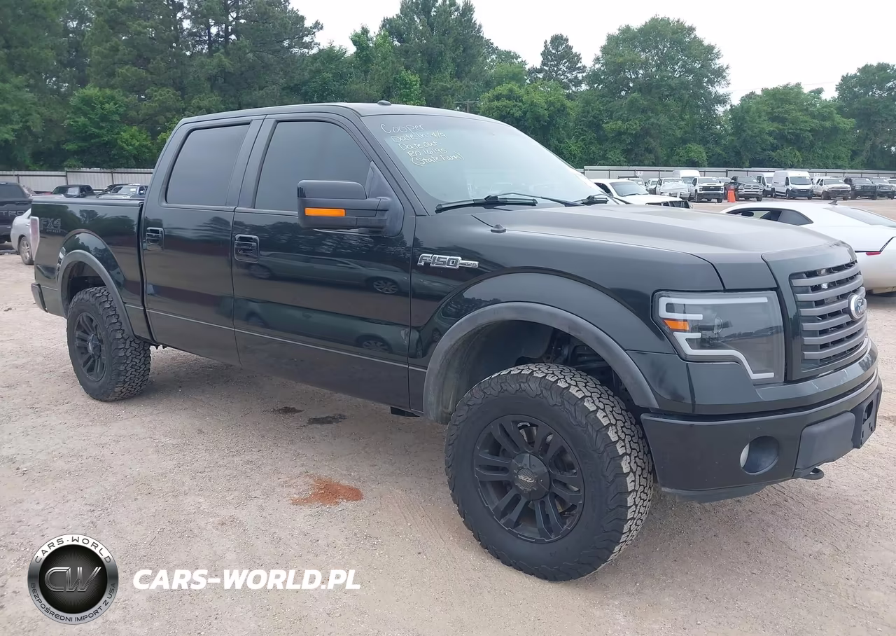 2011 Ford F-150 Fx4 – zdjęcie 1 z 17