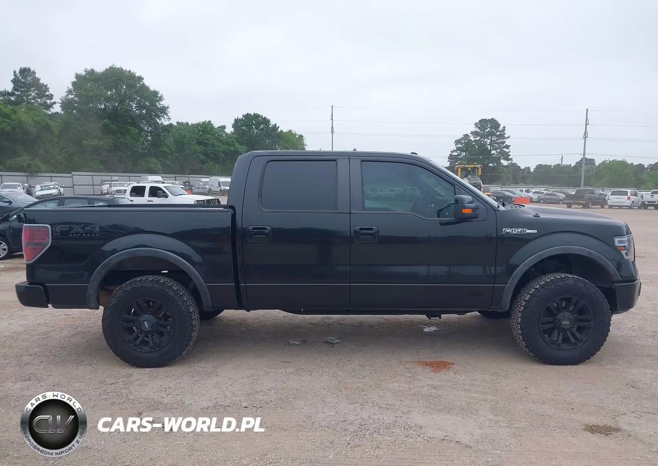 2011 Ford F-150 Fx4 VIN:1FTFW1EFXBKD43661 - 14