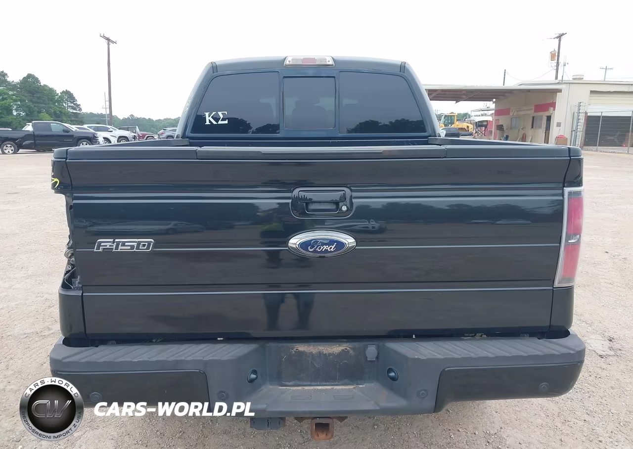 2011 Ford F-150 Fx4 VIN:1FTFW1EFXBKD43661 - 17