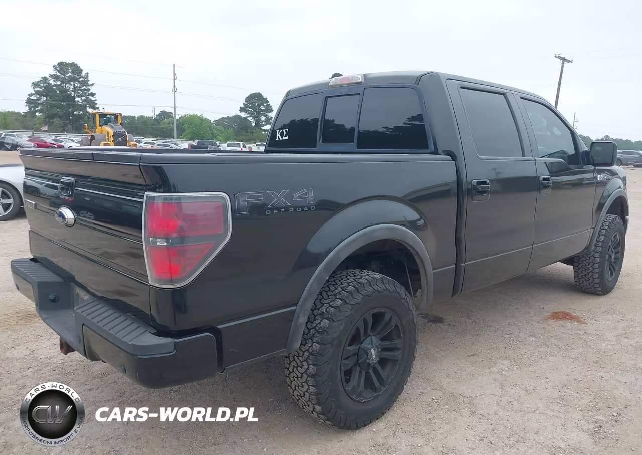 2011 Ford F-150 Fx4 VIN:1FTFW1EFXBKD43661 - 4