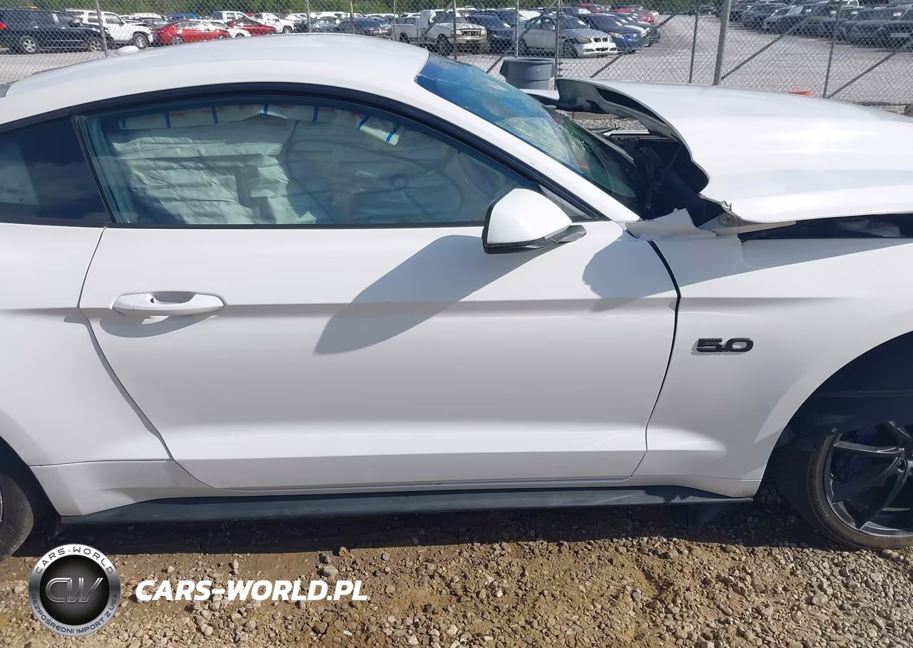 2015 Ford Mustang Gt Premium VIN:1FA6P8CF8F5408753 - 14
