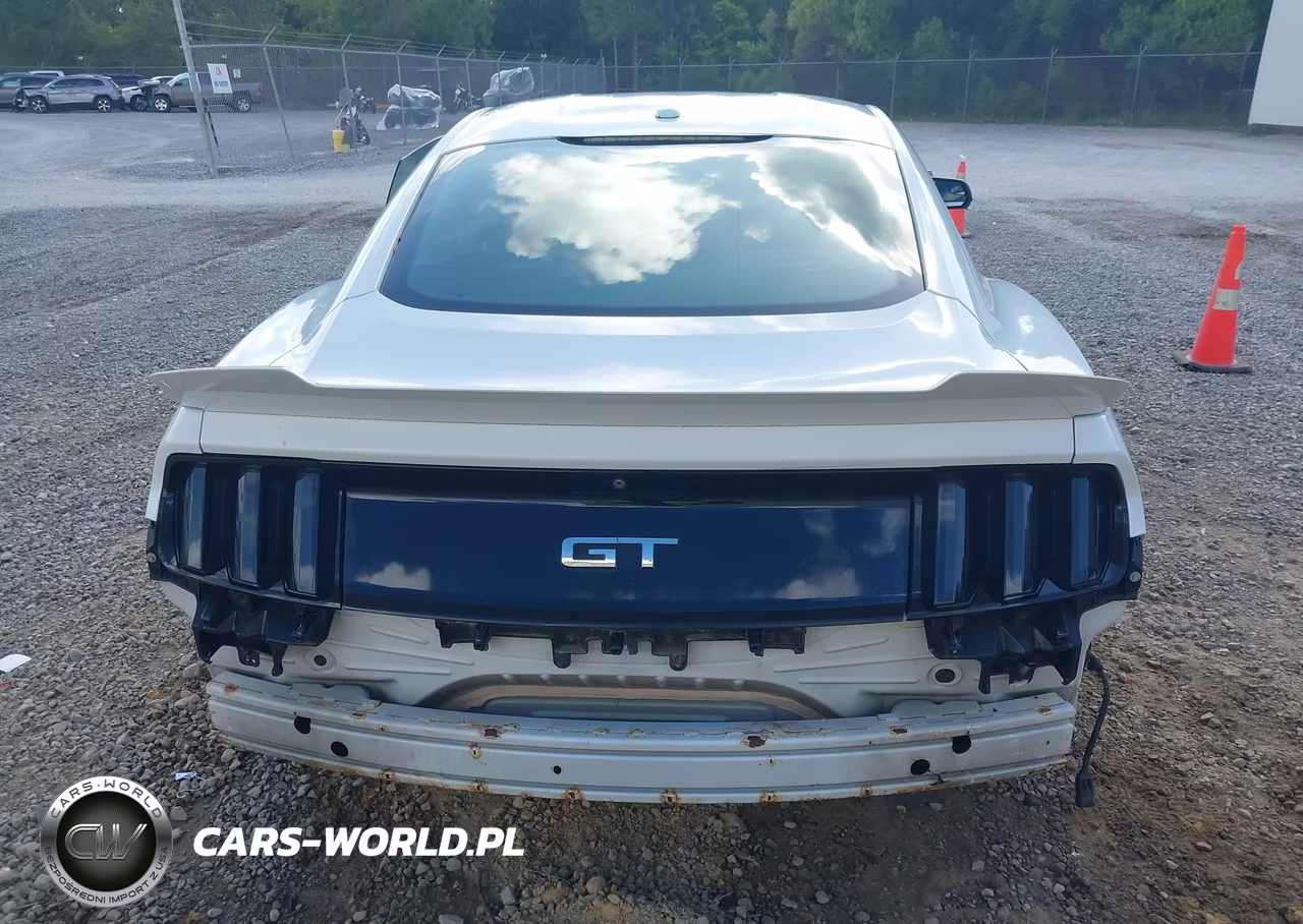 2015 Ford Mustang Gt Premium VIN:1FA6P8CF8F5408753 - 17