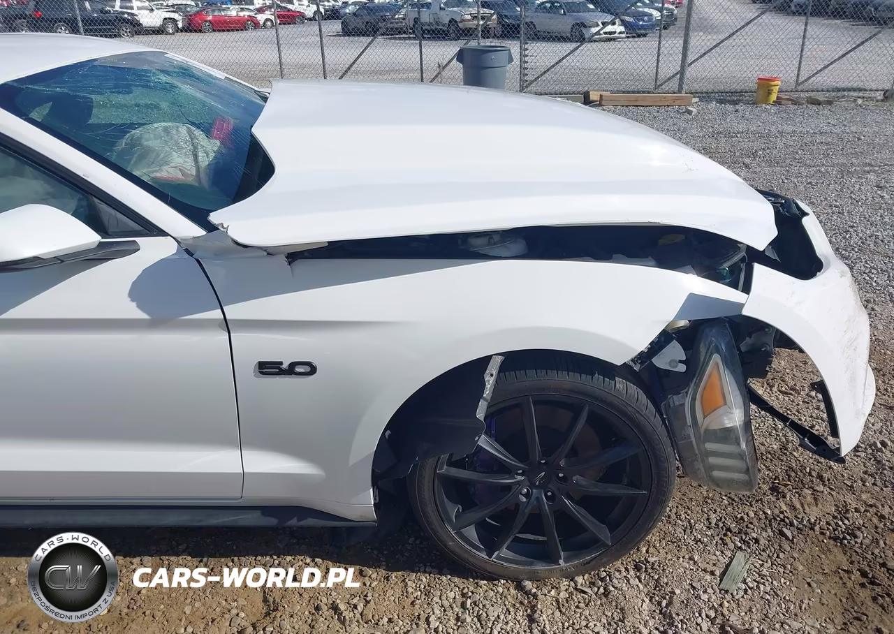 2015 Ford Mustang Gt Premium VIN:1FA6P8CF8F5408753 - 18