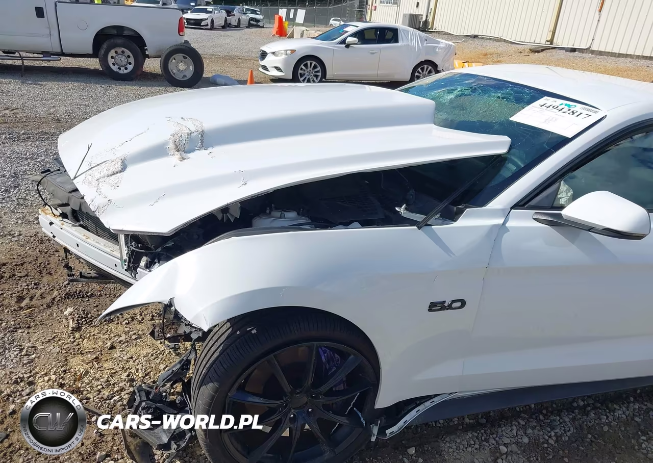 2015 Ford Mustang Gt Premium VIN:1FA6P8CF8F5408753 - 19