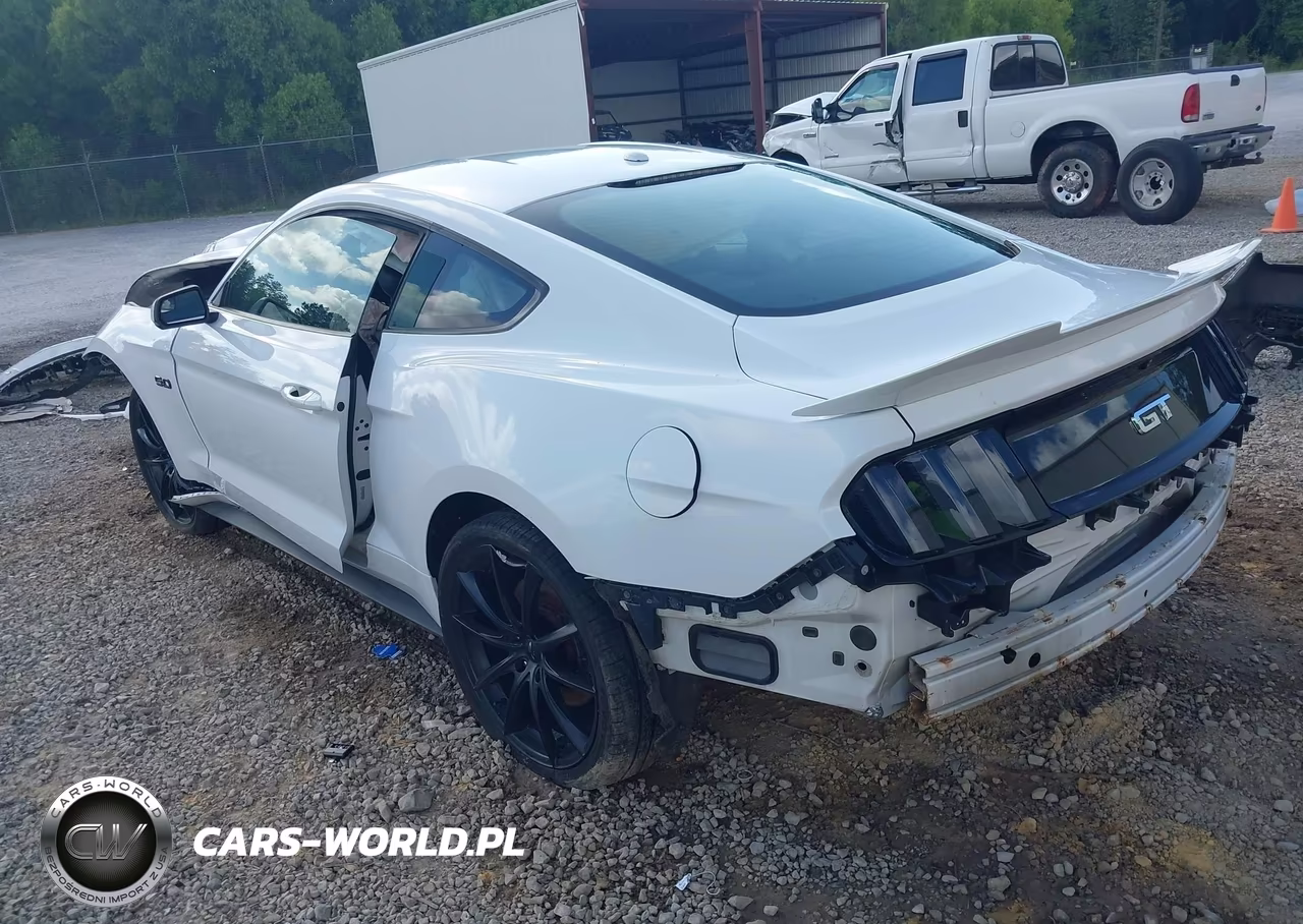 2015 Ford Mustang Gt Premium VIN:1FA6P8CF8F5408753 - 3