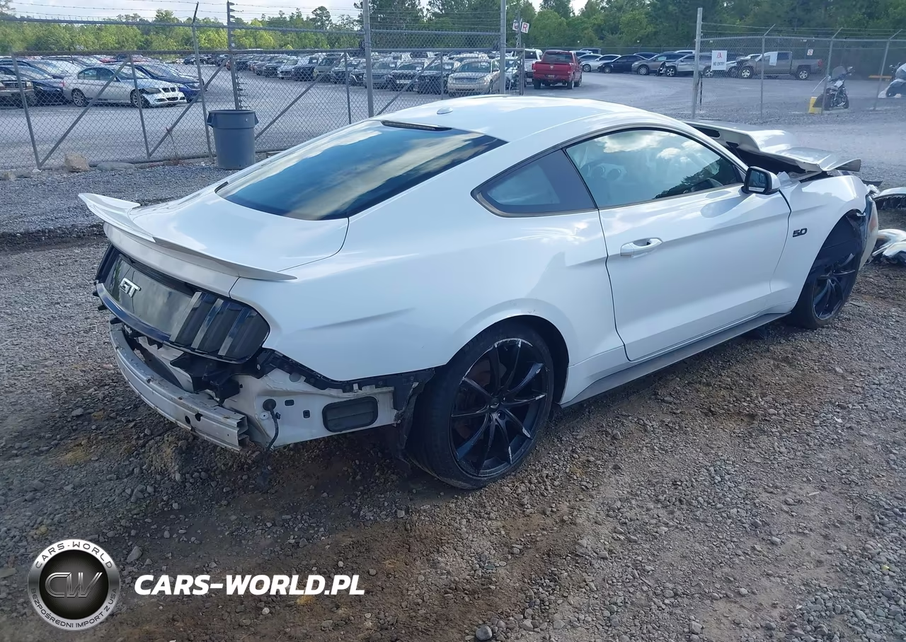 2015 Ford Mustang Gt Premium VIN:1FA6P8CF8F5408753 - 4