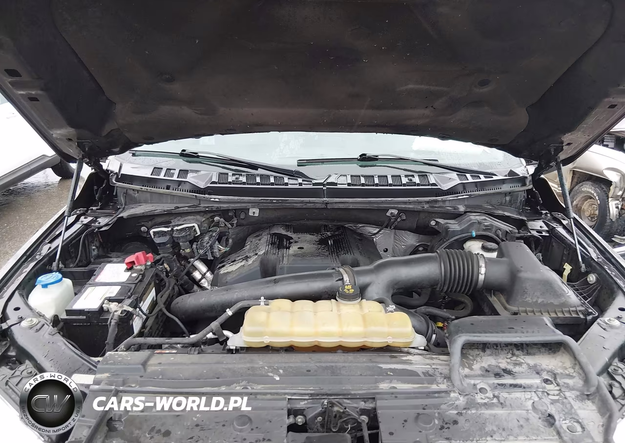 2019 Ford F-150 Xlt VIN:1FTEW1E44KKC53156 - 10