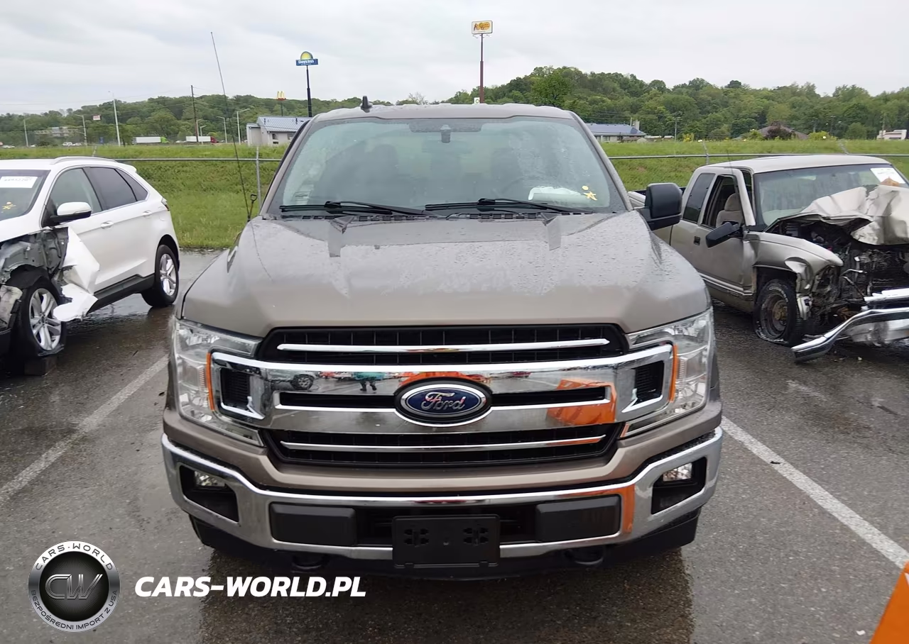 2019 Ford F-150 Xlt VIN:1FTEW1E44KKC53156 - 12