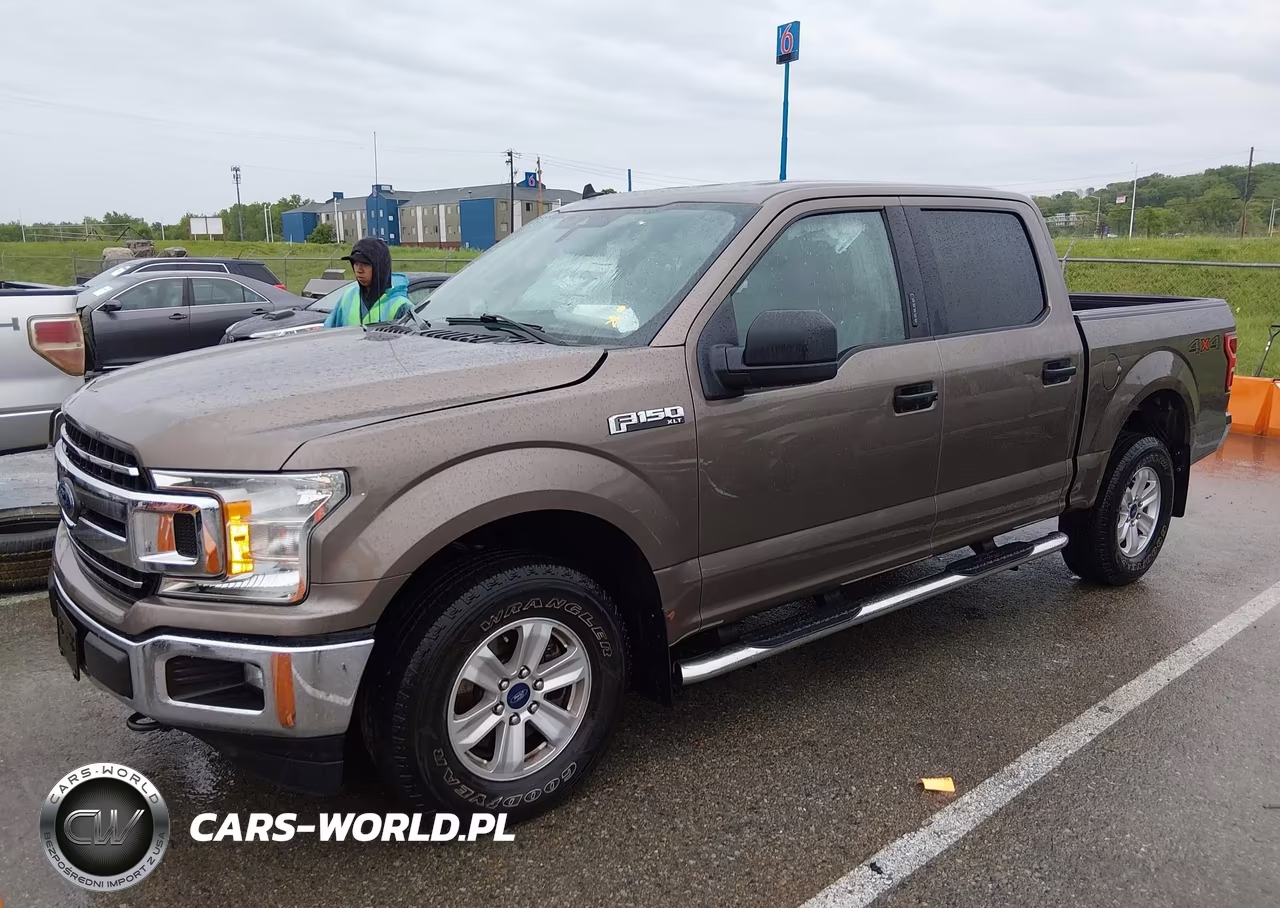 2019 Ford F-150 Xlt VIN:1FTEW1E44KKC53156 - 2