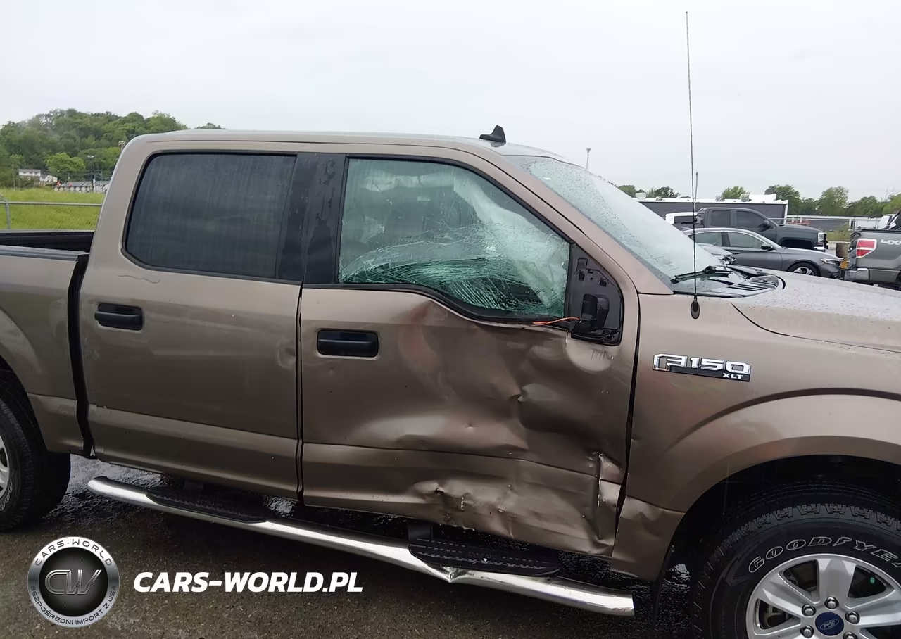 2019 Ford F-150 Xlt VIN:1FTEW1E44KKC53156 - 6