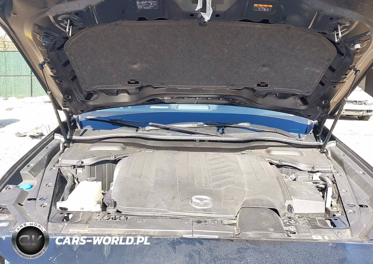 2025 Mazda Cx-90 3.3 Turbo Preferred Package VIN:JM3KKBHD9S1212258 - 10