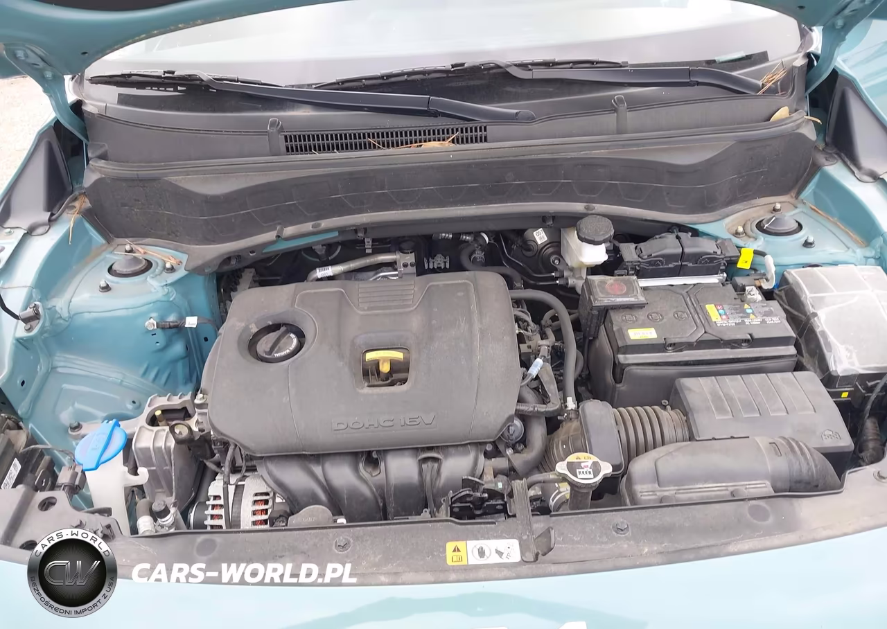 2024 Kia Seltos Ex VIN:KNDER2AA7R7490309 - 10