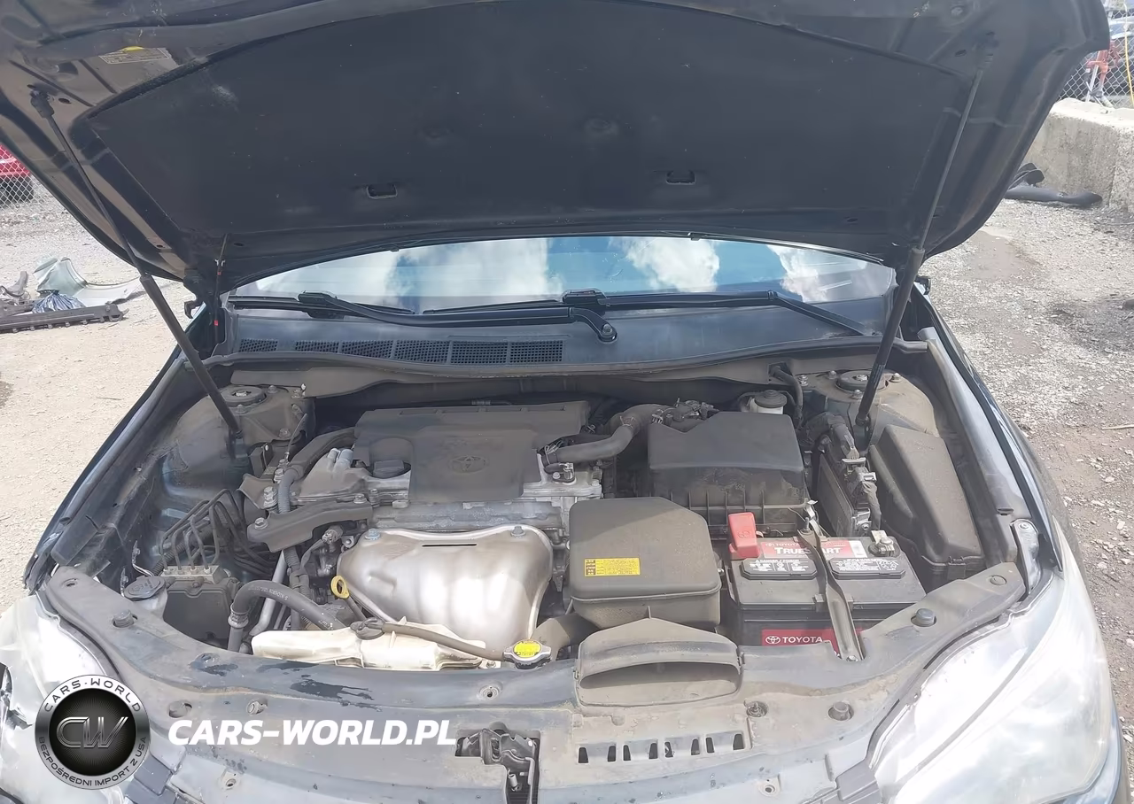2015 Toyota Camry Se VIN:4T1BF1FK3FU487391 - 10
