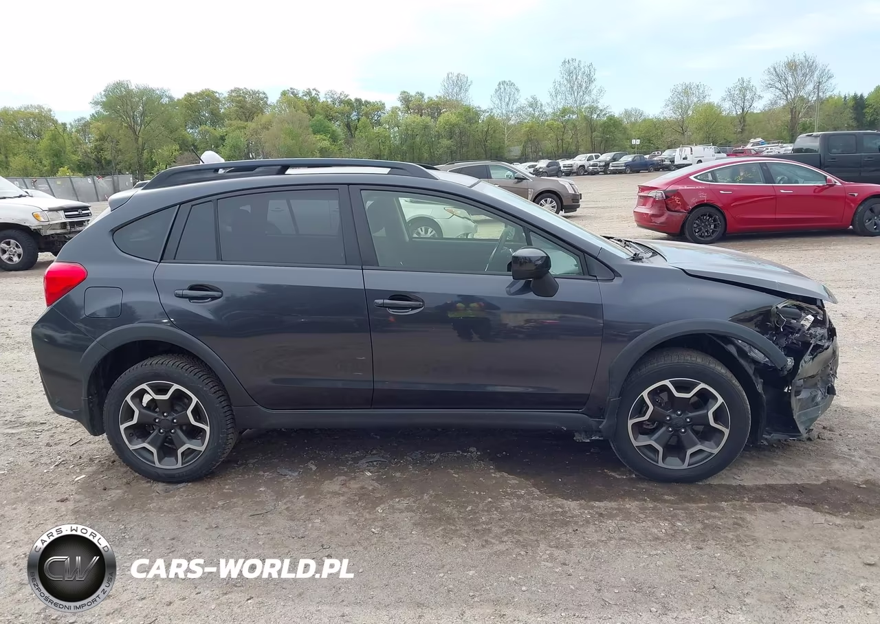 2015 Subaru Xv Crosstrek 2.0I Premium VIN:JF2GPACC1F8220989 - 13