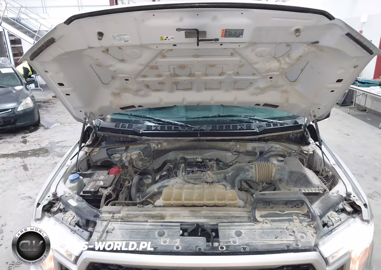 2019 Ford F-150 Xl VIN:1FTEW1EP3KFD53641 - 10