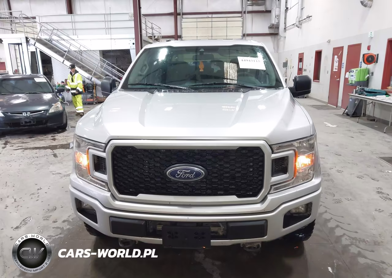 2019 Ford F-150 Xl VIN:1FTEW1EP3KFD53641 - 12