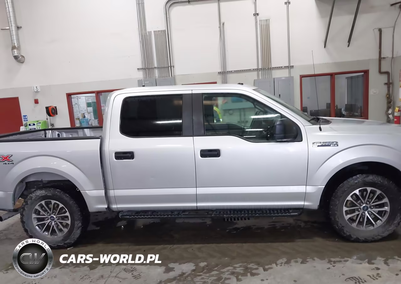 2019 Ford F-150 Xl VIN:1FTEW1EP3KFD53641 - 13