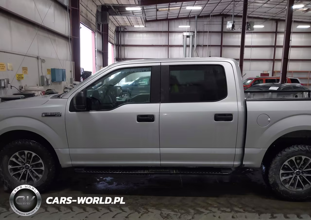 2019 Ford F-150 Xl VIN:1FTEW1EP3KFD53641 - 14