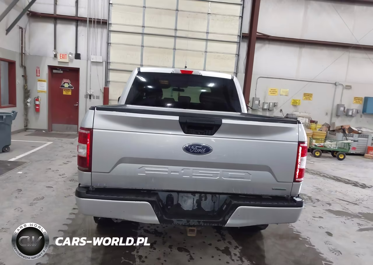 2019 Ford F-150 Xl VIN:1FTEW1EP3KFD53641 - 16