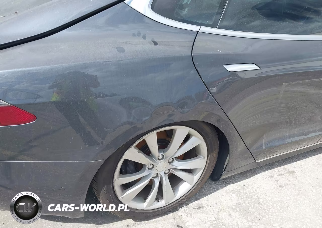 2016 Tesla Model S 60D-70D-75D-85D-90D VIN:5YJSA1E29GF145331 - 19