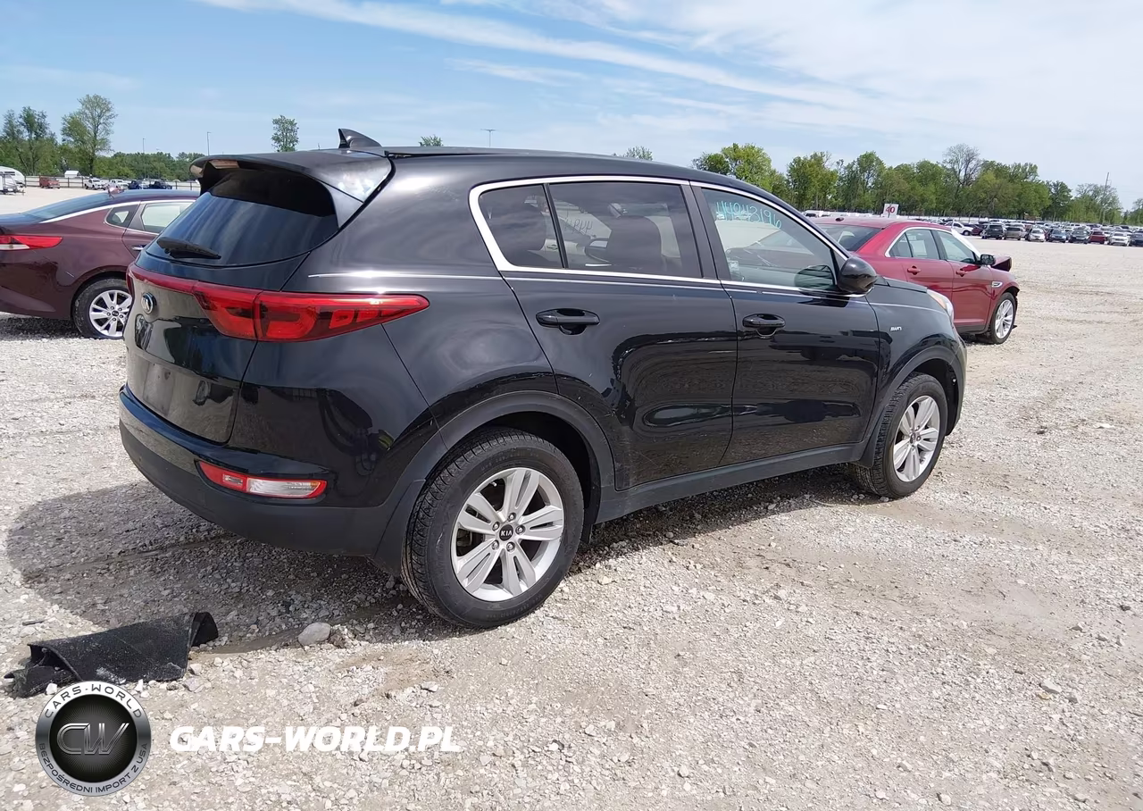 2019 Kia Sportage Lx VIN:KNDPMCAC0K7611136 - 4
