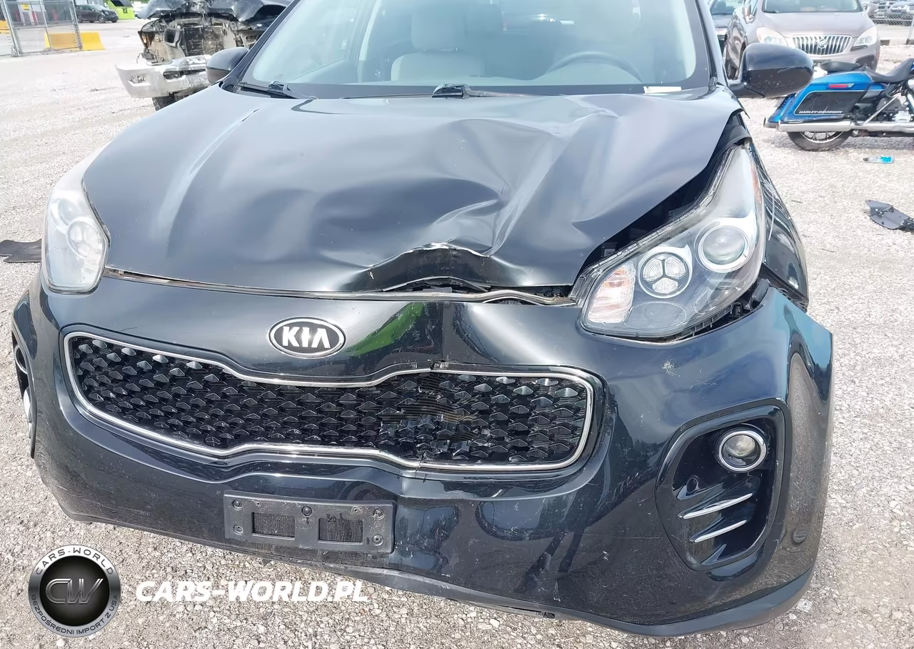 2019 Kia Sportage Lx VIN:KNDPMCAC0K7611136 - 6