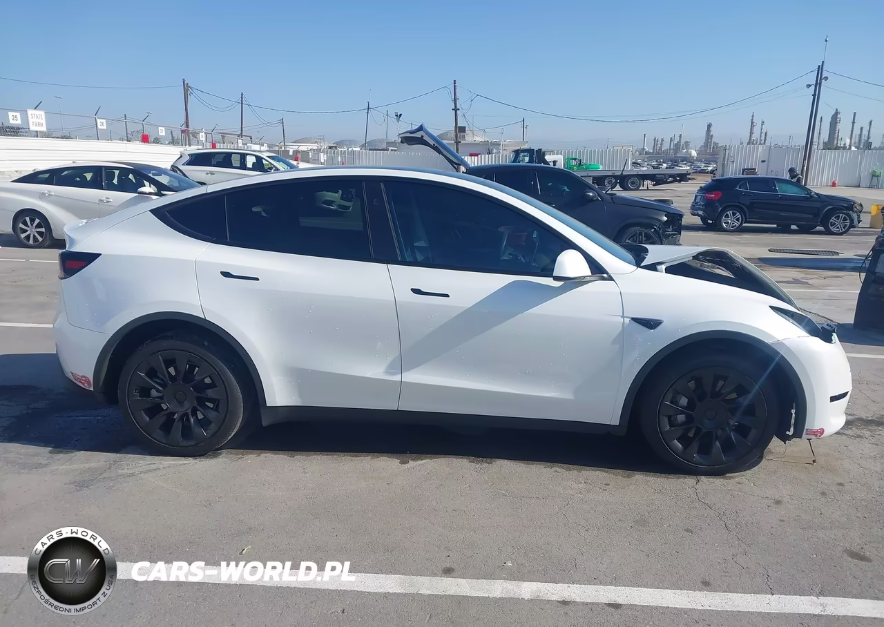 2024 Tesla Model Y Long Range Dual Motor All-Wheel Drive VIN:7SAYGDEE1RA251828 - 13