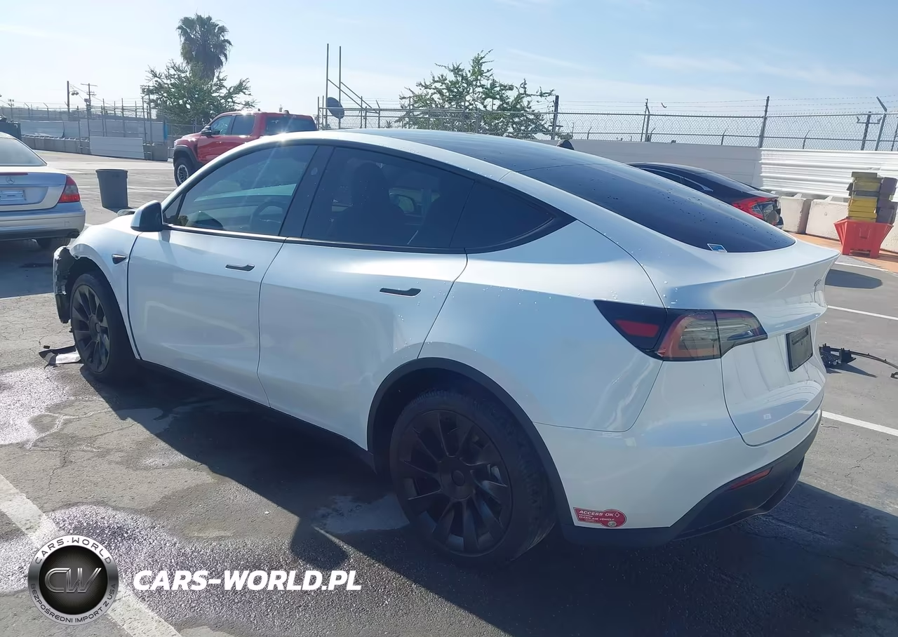 2024 Tesla Model Y Long Range Dual Motor All-Wheel Drive VIN:7SAYGDEE1RA251828 - 3