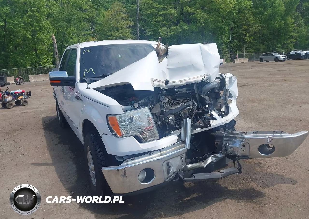 2013 Ford F-150 Xlt – zdjęcie 1 z 16