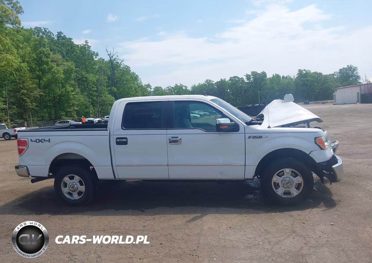 2013 Ford F-150 Xlt VIN:1FTFW1EF1DFD27618 - 13