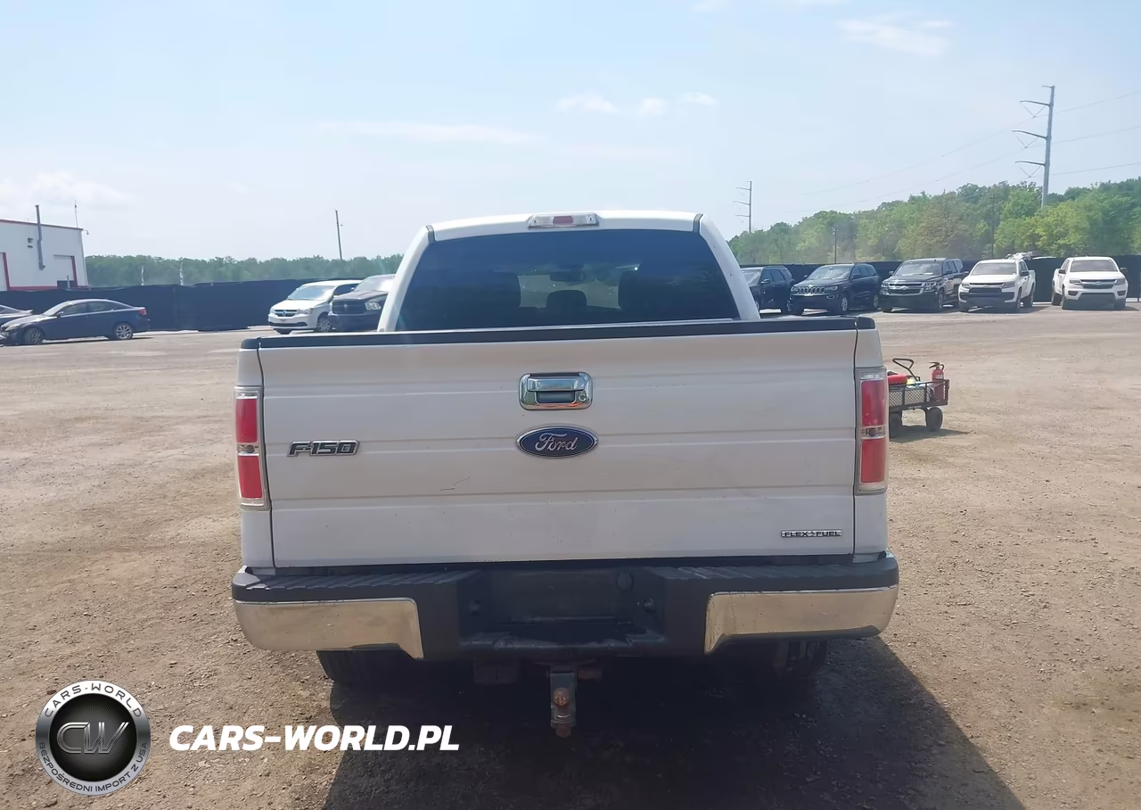 2013 Ford F-150 Xlt VIN:1FTFW1EF1DFD27618 - 16