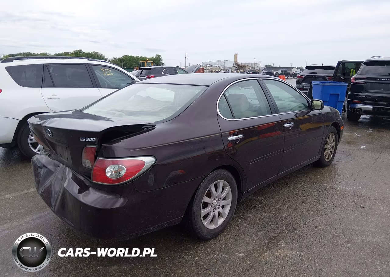 2003 Lexus Es 300 VIN:JTHBF30G430125348 - 4