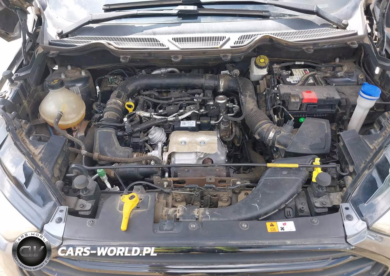 2018 Ford Ecosport S VIN:MAJ3P1REXJC160986 - 10