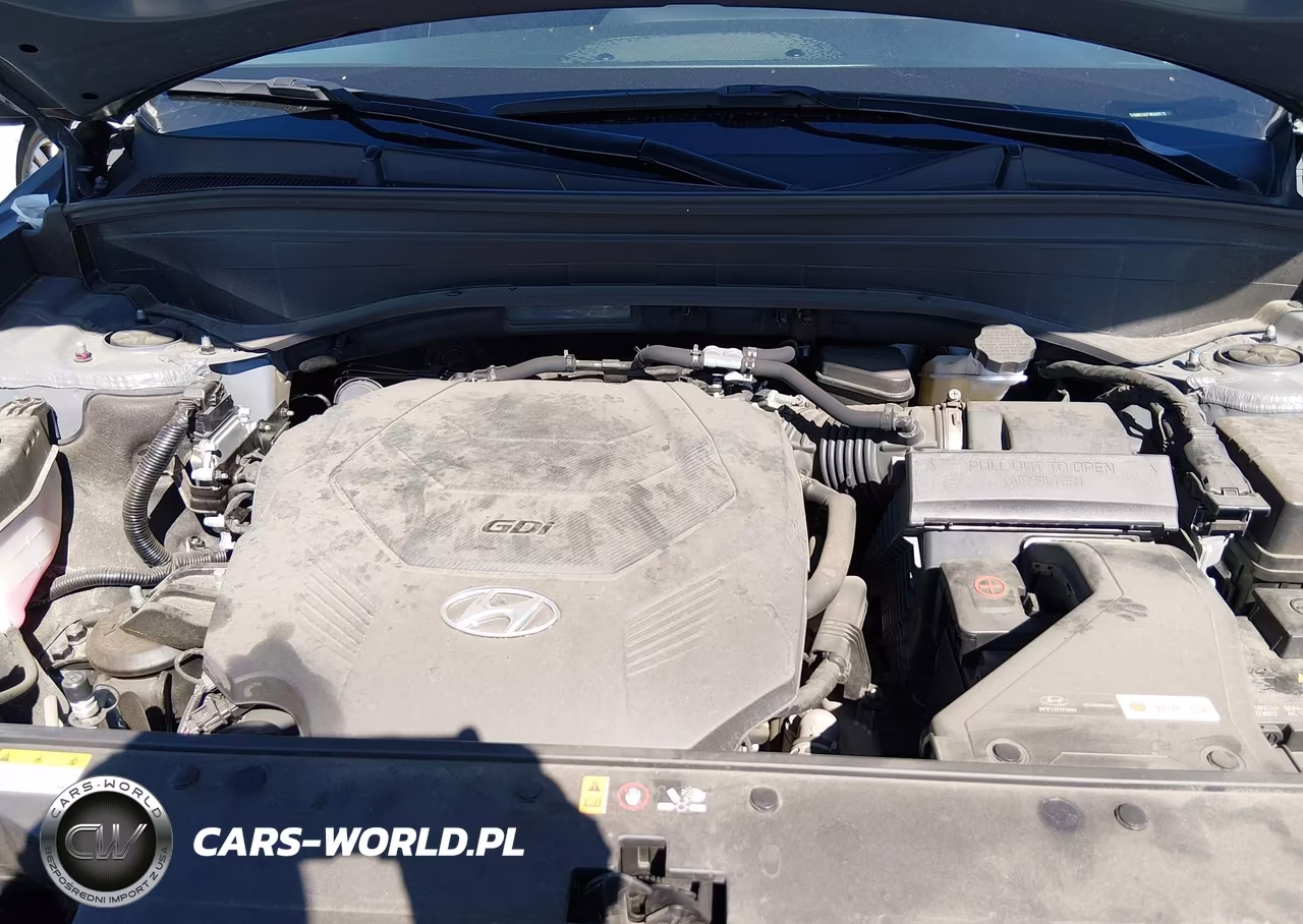 2024 Hyundai Palisade Xrt VIN:KM8R34GE9RU688170 - 10
