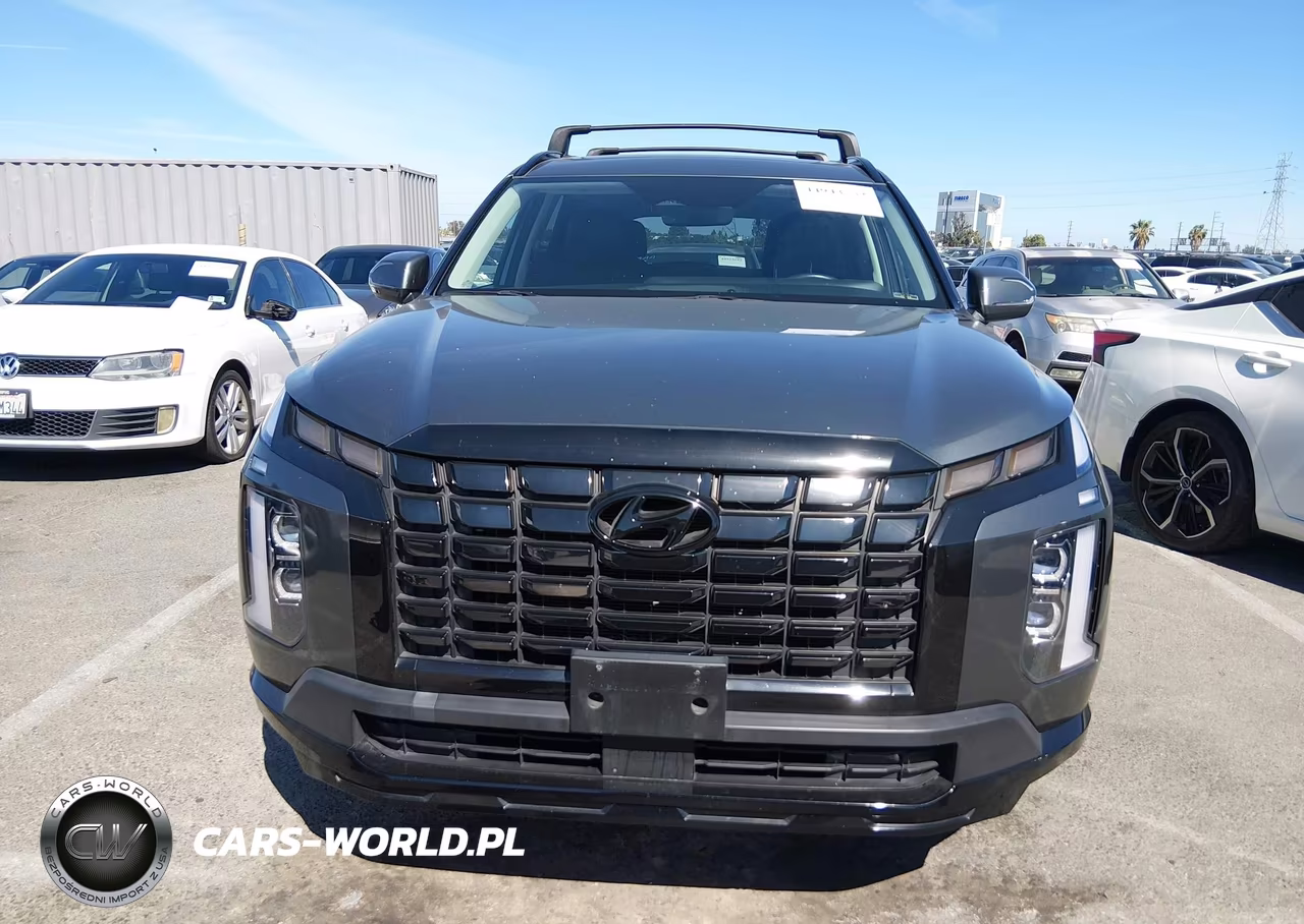 2024 Hyundai Palisade Xrt VIN:KM8R34GE9RU688170 - 13