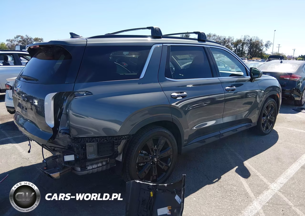 2024 Hyundai Palisade Xrt VIN:KM8R34GE9RU688170 - 4