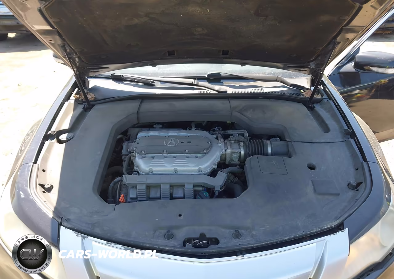 2009 Acura Tl 3.7 VIN:19UUA96559A003863 - 10