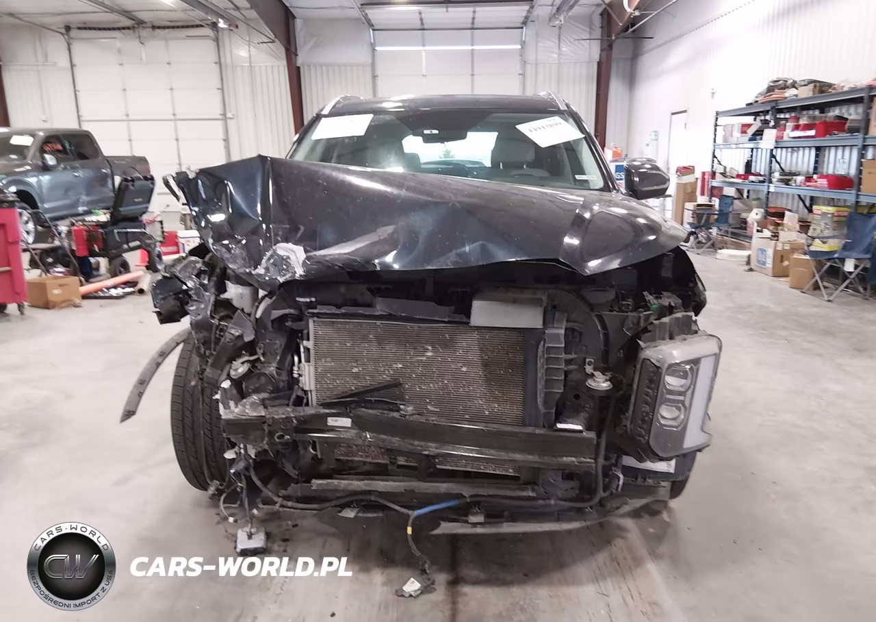 2024 Hyundai Palisade Calligraphy VIN:KM8R7DGE2RU717965 - 12