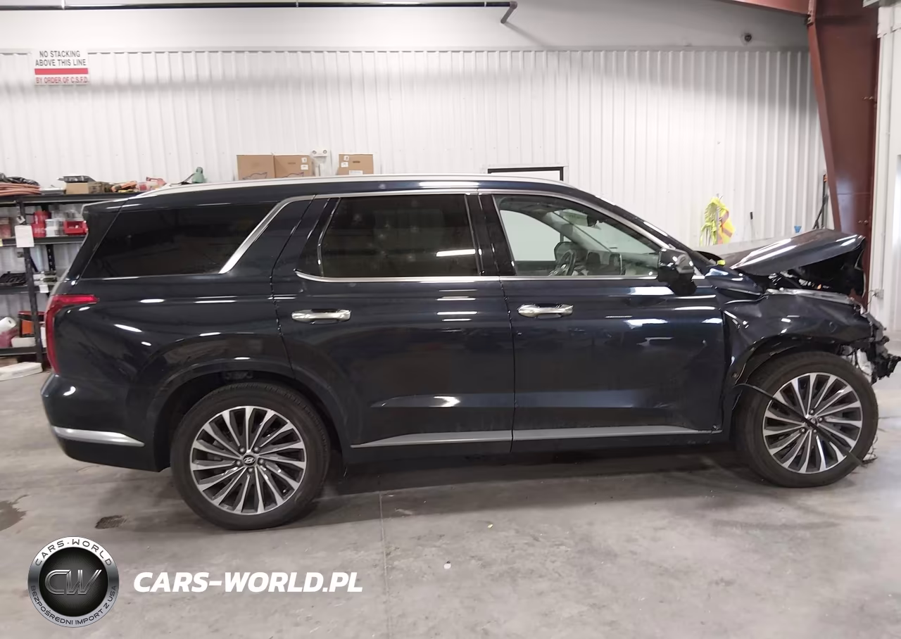 2024 Hyundai Palisade Calligraphy VIN:KM8R7DGE2RU717965 - 13