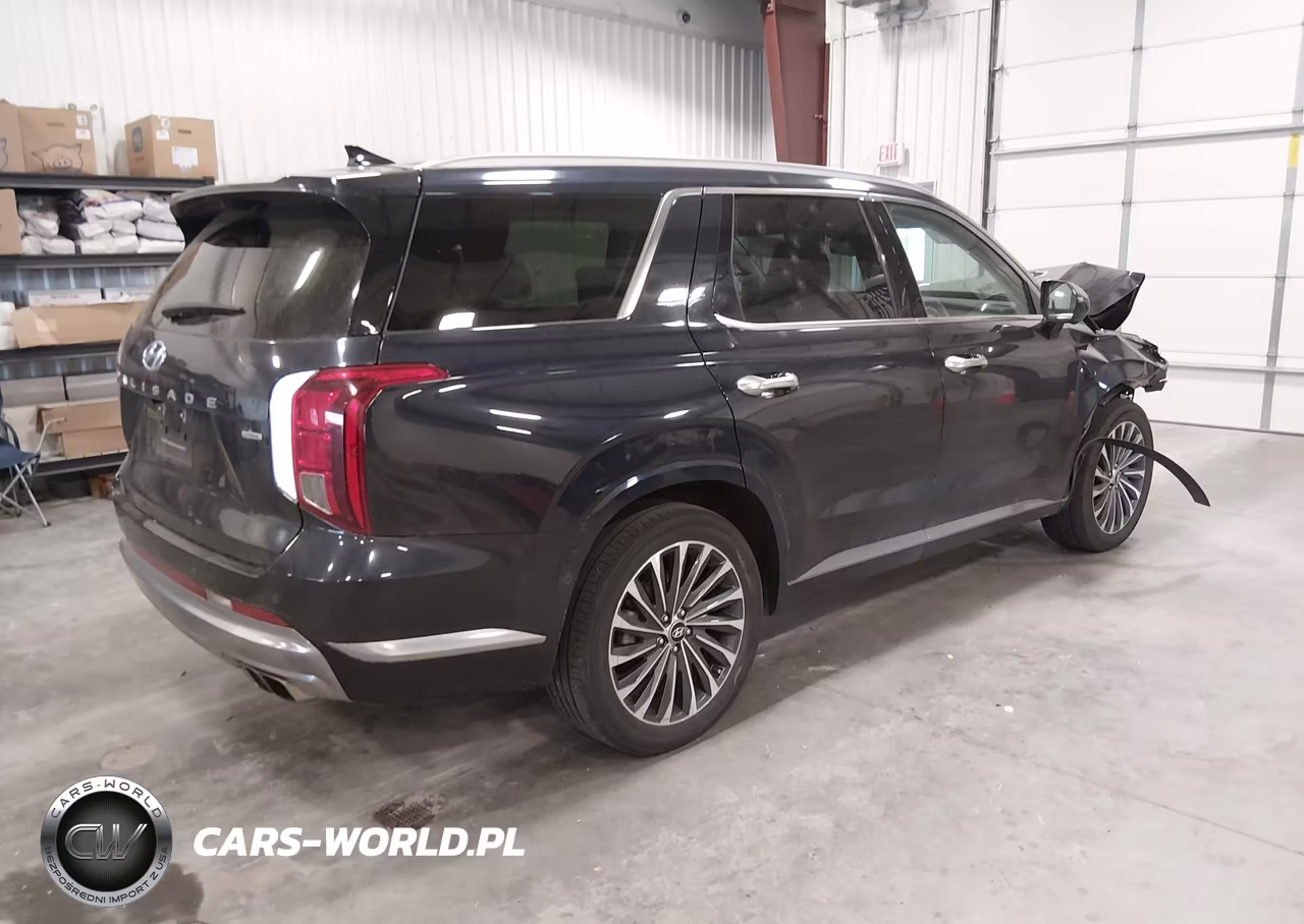 2024 Hyundai Palisade Calligraphy VIN:KM8R7DGE2RU717965 - 4
