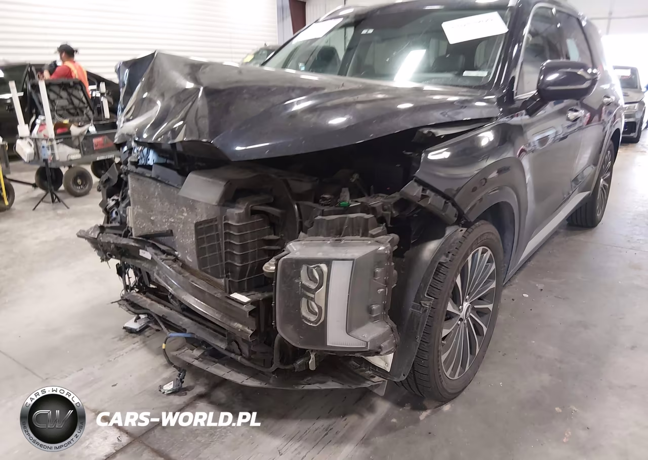2024 Hyundai Palisade Calligraphy VIN:KM8R7DGE2RU717965 - 6