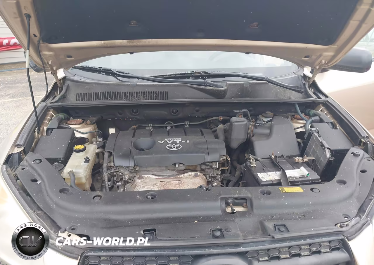 2009 Toyota Rav4 VIN:JTMBF33V99D016610 - 10