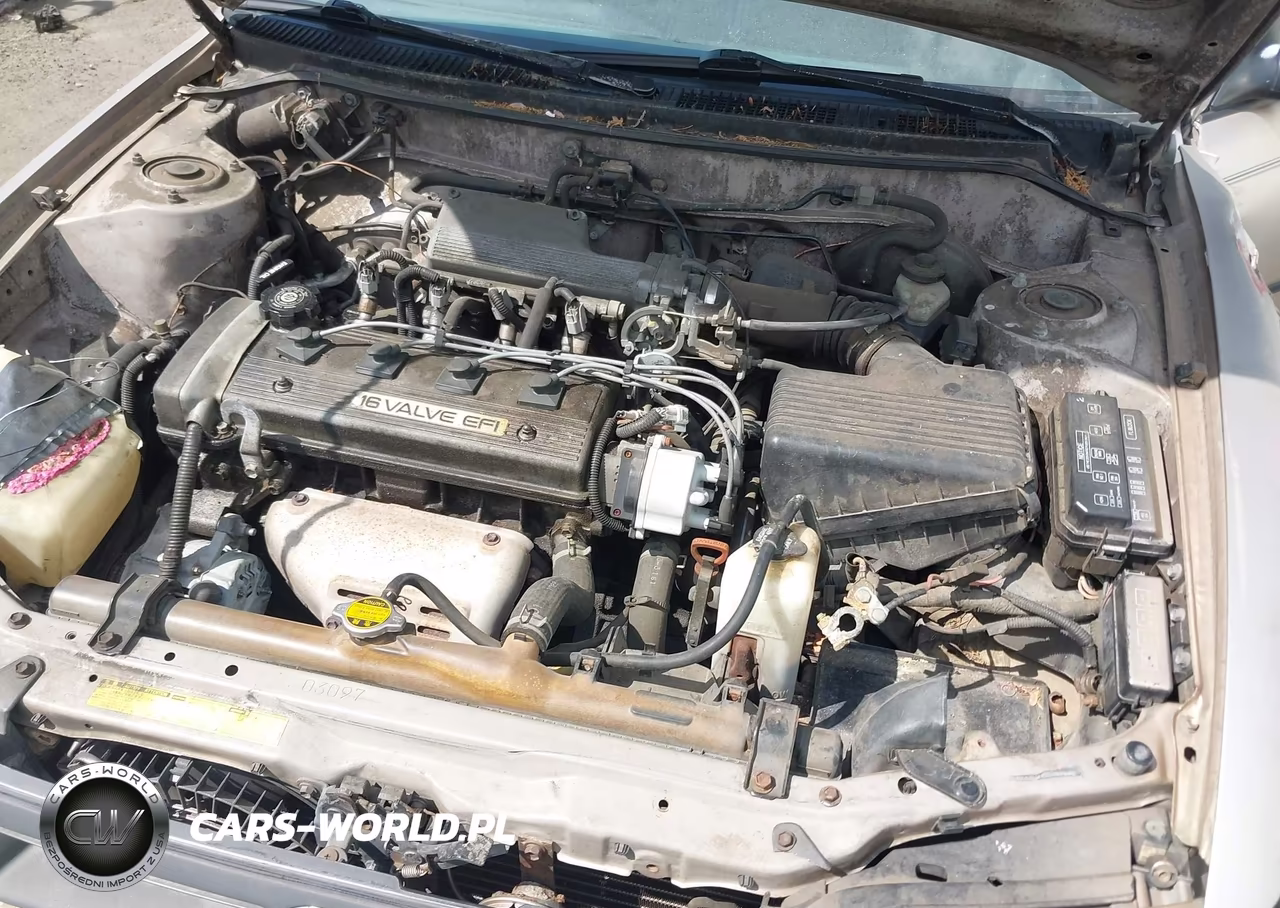 1993 Toyota Corolla Le-Dx VIN:2T1AE09E5PC034715 - 10