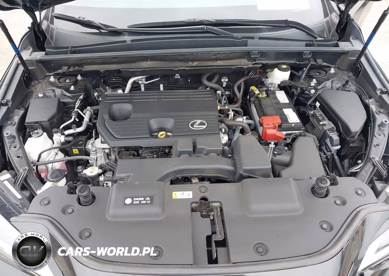 2025 Lexus Nx 250 Premium VIN:2T2GDCAZ3SC024699 - 10