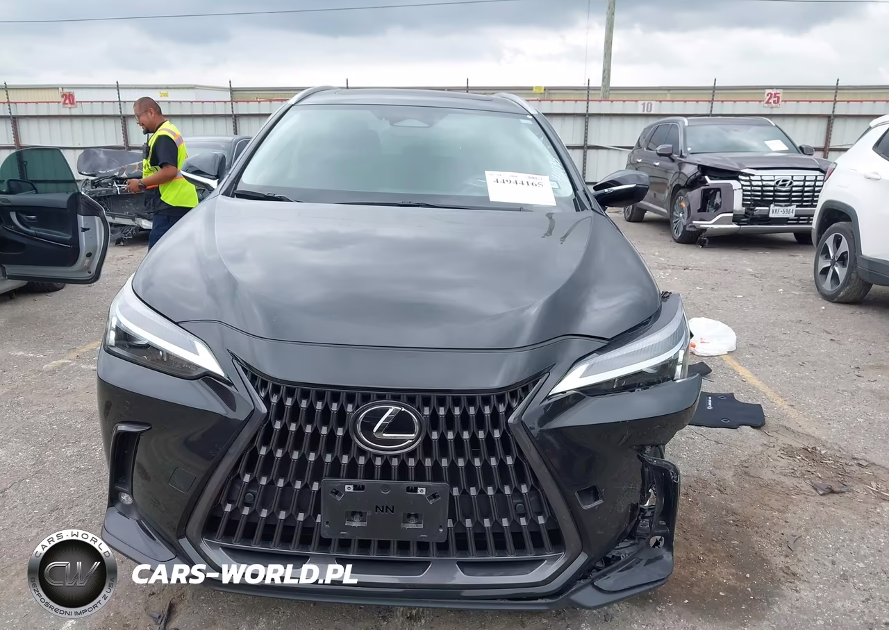 2025 Lexus Nx 250 Premium VIN:2T2GDCAZ3SC024699 - 12
