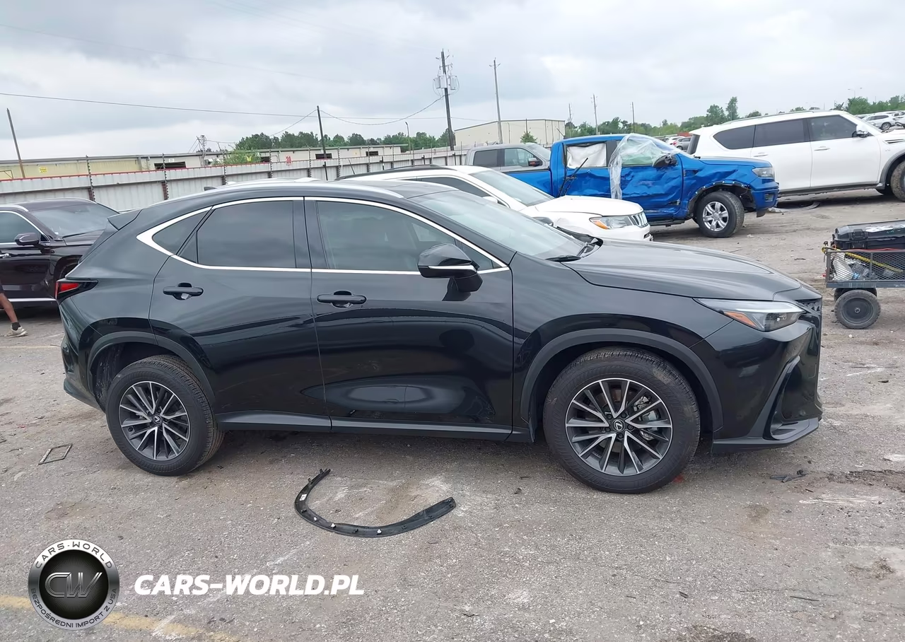 2025 Lexus Nx 250 Premium VIN:2T2GDCAZ3SC024699 - 13