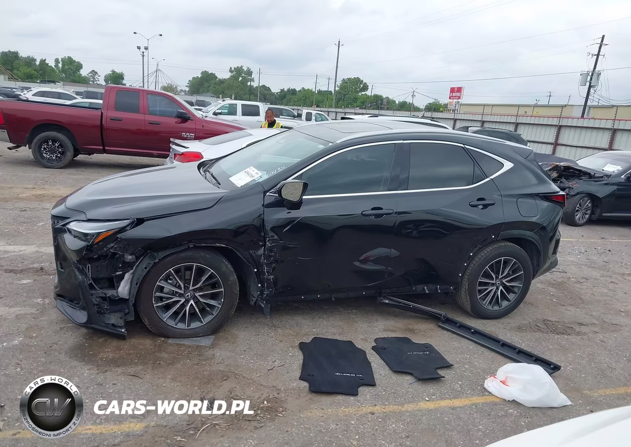 2025 Lexus Nx 250 Premium VIN:2T2GDCAZ3SC024699 - 14