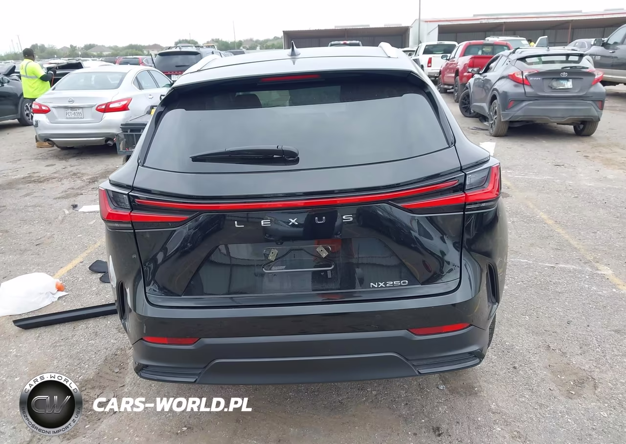 2025 Lexus Nx 250 Premium VIN:2T2GDCAZ3SC024699 - 16