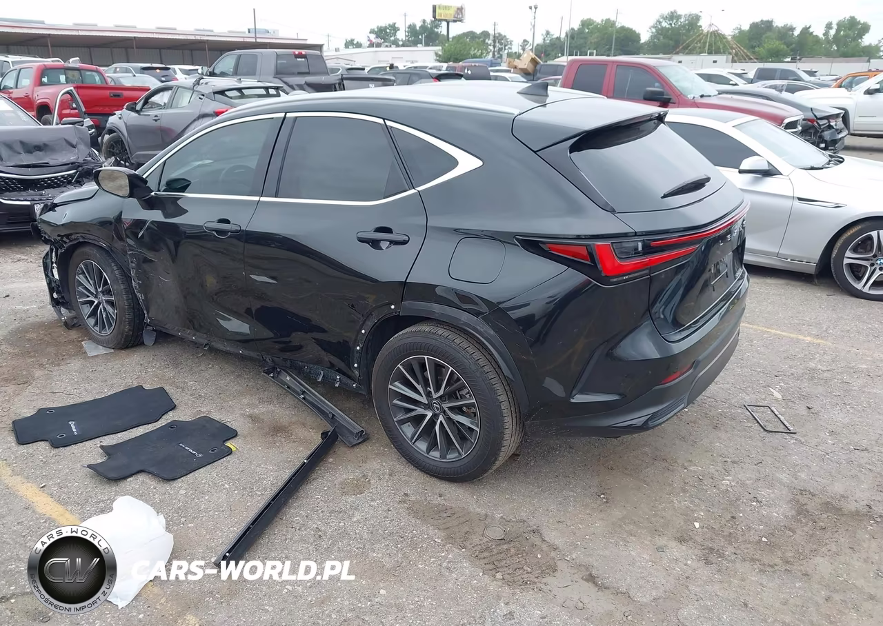 2025 Lexus Nx 250 Premium VIN:2T2GDCAZ3SC024699 - 3